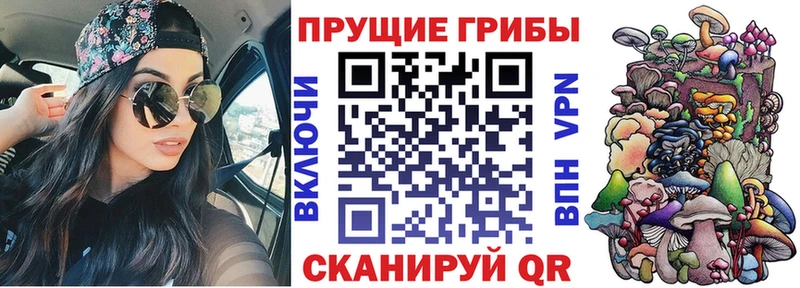 Галлюциногенные грибы Psilocybe  Озёры 